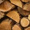 Holz und Fasern
